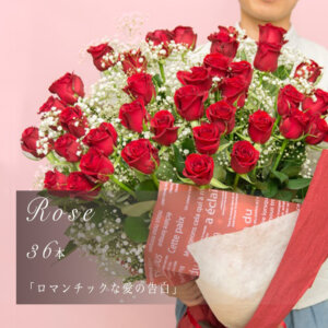 rose_03